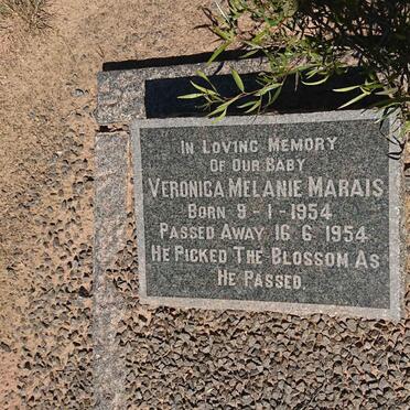 MARAIS Violet 1920-2003 :: MARAIS Veronica Melanie 1954-1954