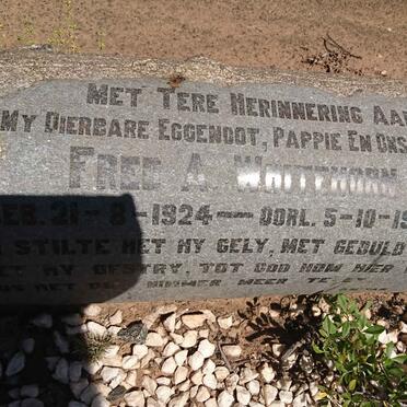 WHITEHORN Fred A. 1924-1952