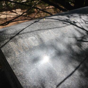 WALT Michiel Jacobus, van der 1894-1976