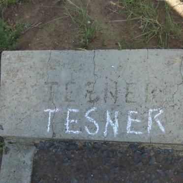 TESNER