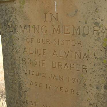 DRAPER Alice Alvina Rosie -1902