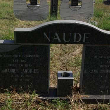 N - Vanne :: Surnames - N