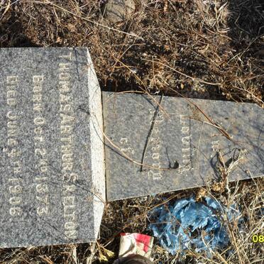 SKELTON Thomas Arthur 1873-1906