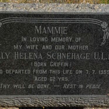 SCHNEHAGE Dolly Helena nee GRIFFIN -1955