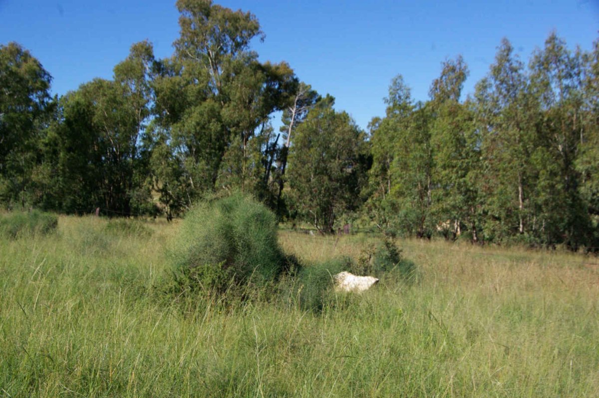 2. Oorsig/Overview