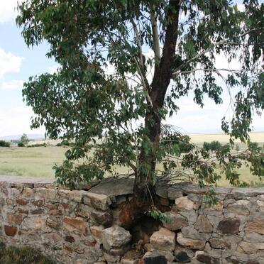 2. Overview / Oorsig