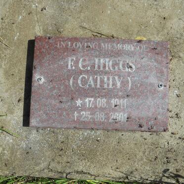 HIGGS F.C. 1911-2001