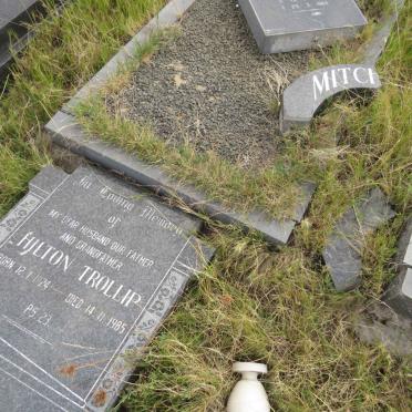 MITCHELL Hilton Trollip 1924-1985