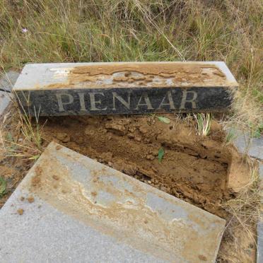 PIENAAR