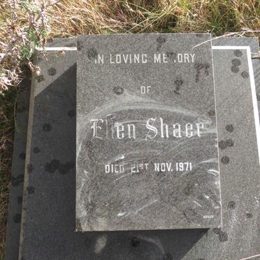SHAER Ellen -1971