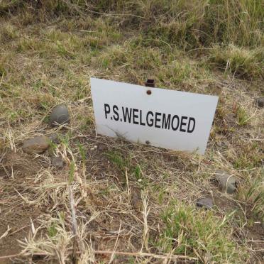 WELGEMOED P.S.