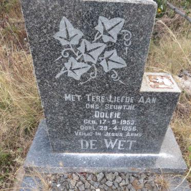 WET Dolfie, de 1953-1956 