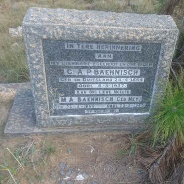 BAEHNISCH G.A.P. 1854-1937 &amp; M.A. MEY 1869-1949