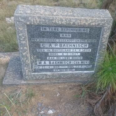 BAEHNISCH G.A.P. 1854-1937 &amp; M.A. MEY 1869-1949