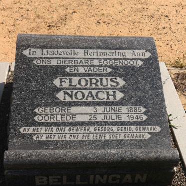 BELLINGAN Florus Noach 1885-1946