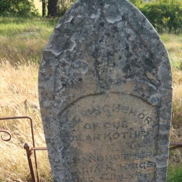 HIGGS Harry Neville 1849-1921 &amp; Maria M. -1953 :: WELSFORD Elizabeth nee HIGGS -1921