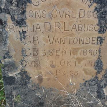 LABUSCHAGNE Cornelia D.R. nee VAN TONDER 1890-1918