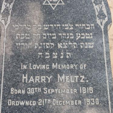 MELTZ Harry 1916-1930