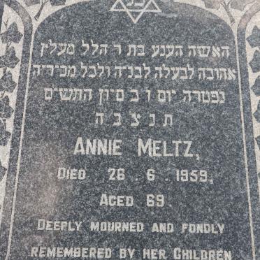 M - Surnames :: Vanne - M