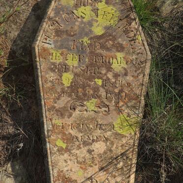 PELSER Pieter Gerhardus 1896-1897