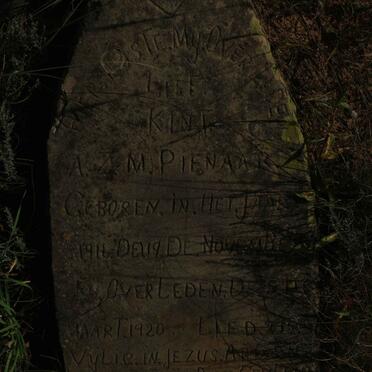 PIENAAR A.Z.M. 1916-1920