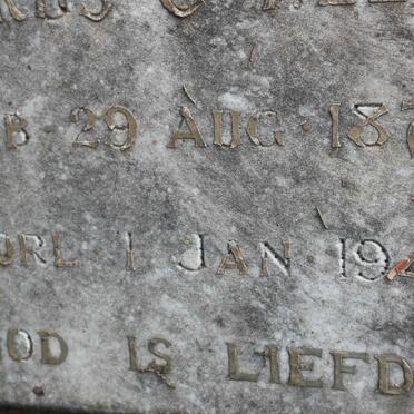 PELSER Petrus C. 1875-1940