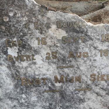 WATSON  Anna Doreta nee BOUWER  1870-1919