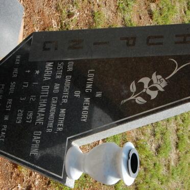 SHUPING Maria Ditlhamane Daphne 1957-2009