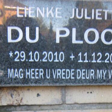 PLOOY Lienke Juliette, du 2010-2010