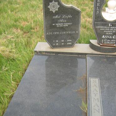 SAAYMAN Cornelis M. 1956-1986