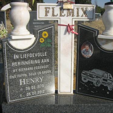 FLEMIX Henry 1975-2012