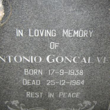 GONCALVE ?ntonio 1938-1964