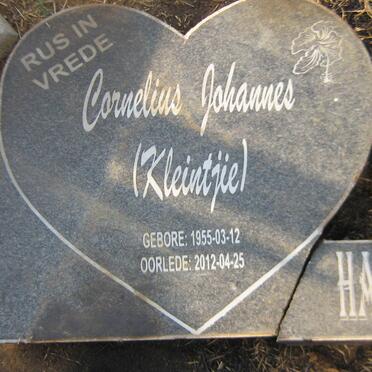 HARMSE Cornelius Johannes 1955-2012