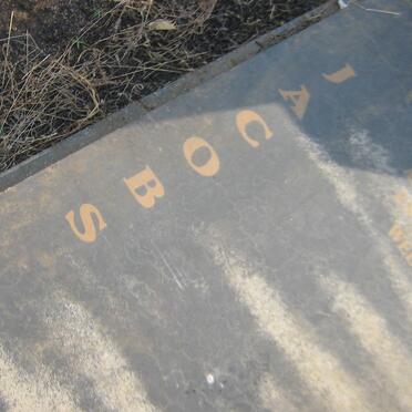 JACOBS J.P. 1972-2005