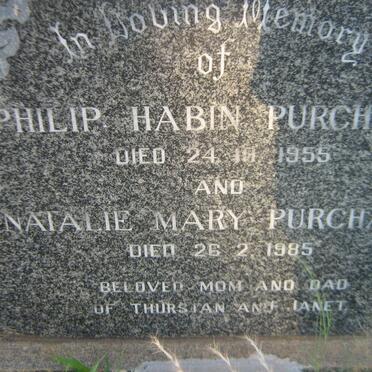 PURCHASE Philip Habin -1955 &amp; Natalie Mary -1985