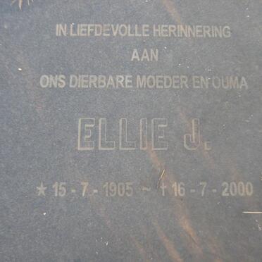 PIENAAR Willem N. 1901-1983 &amp; Ellie J. 1905-2000