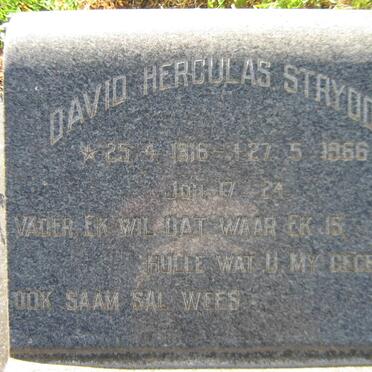 STRYDOM David Herculas 1916-1966