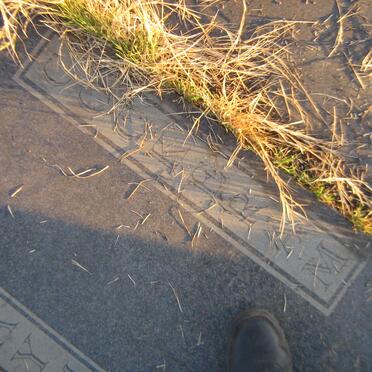 SAAYMAN Cornelis M. 1956-1986 :: COCKERAM Amos J. 1933-2002