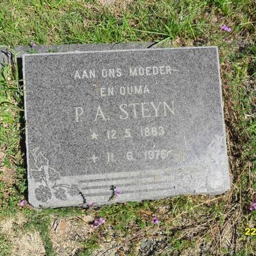 STEYN P.A. 1883-1976