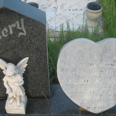 WELGEMOED Desery 1990-1990