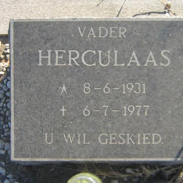 ? Herculaas 1931-1977 &amp; Francina 1940
