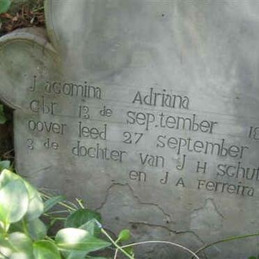 SCHUTTE Jacomina Adriana 1877-1878
