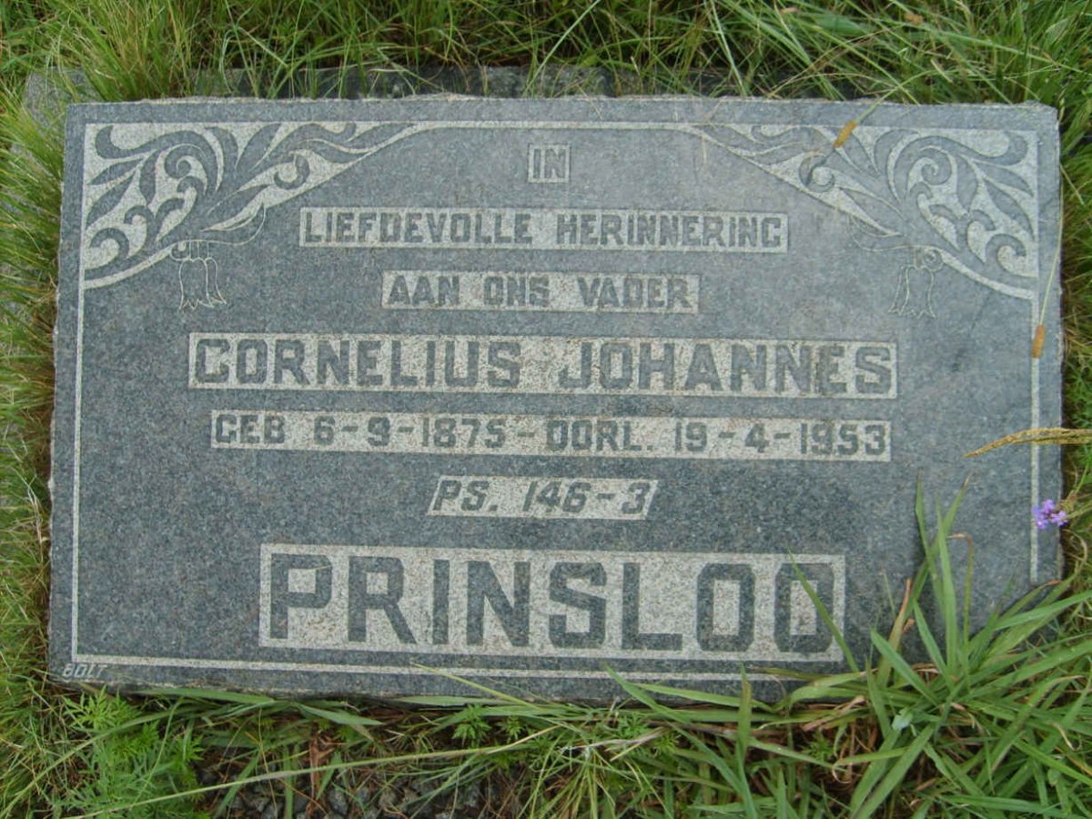 PRINSLOO Cornelius Johannes 1875-1953