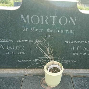 MORTON S.A. -1974 &amp; J.C. -1990
