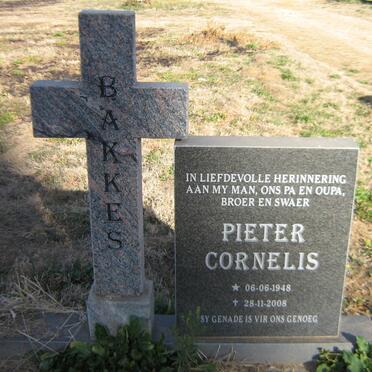 BAKKES Pieter Cornelis 1948-2008