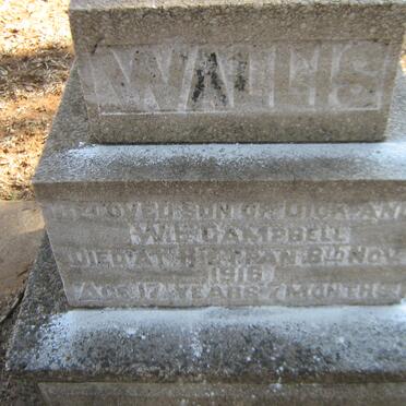 CAMPBELL Wallis -1916