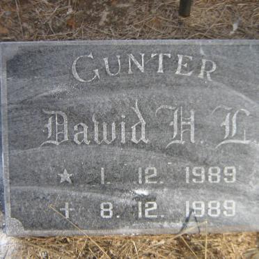 GUNTER Dawid H.L. 1989-1989