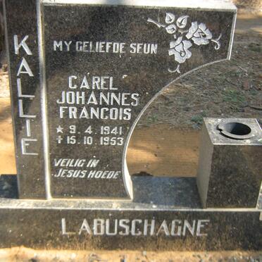 LABUSCHAGNE Carel Johannes Francois 1941-1953