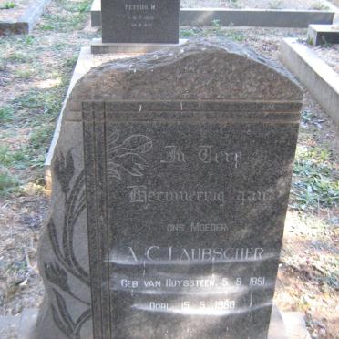 LAUBSCHER A.C. nee VAN HUYSSTEEN 1891-1968