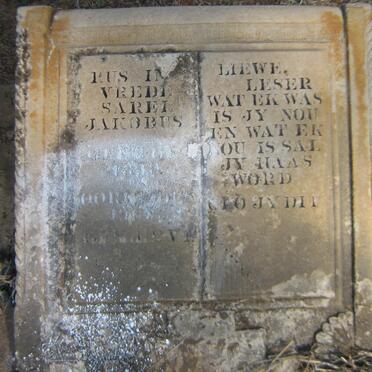 ? Sarel Jakobus 18??-19??